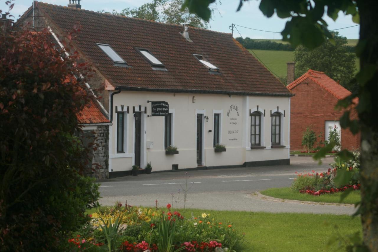Bed and Breakfast Au Petit Bled Hermelinghen Zewnętrze zdjęcie